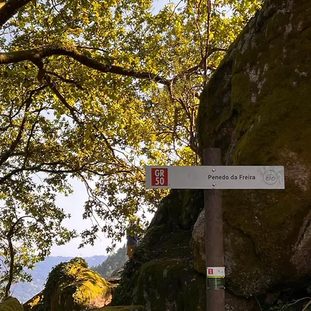 Refugio Do Vidoeiro Διαμέρισμα Geres