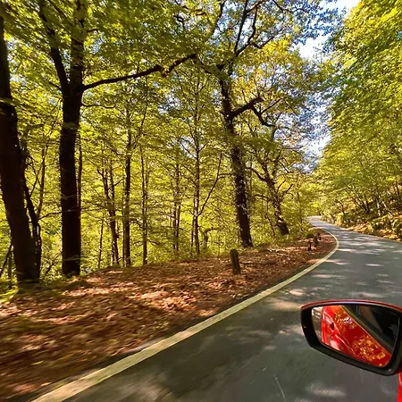 Refugio Do Vidoeiro アパート ジェレス