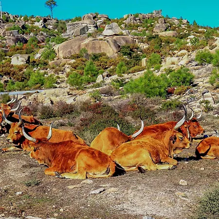 公寓 Refugio Do Vidoeiro *