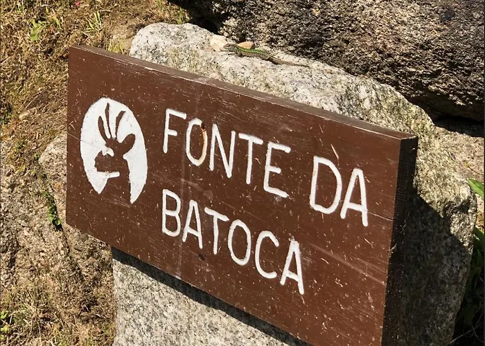 Refugio Do Vidoeiro Apartamento Gerês