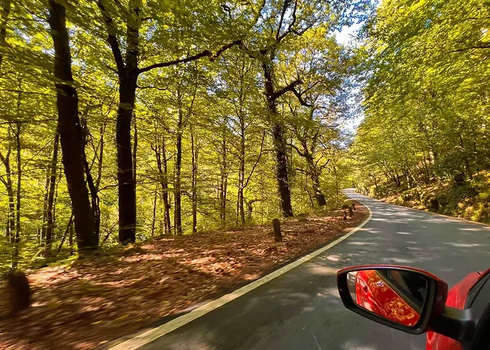 Refugio Do Vidoeiro Apartamento Gerês