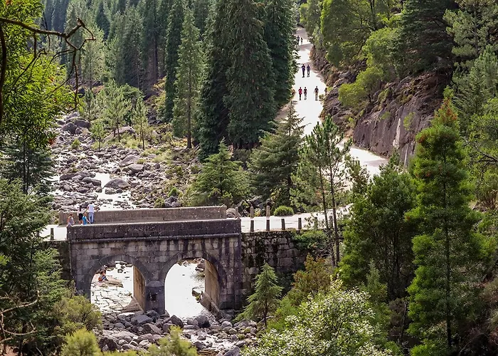 Refugio Do Vidoeiro ג'רס